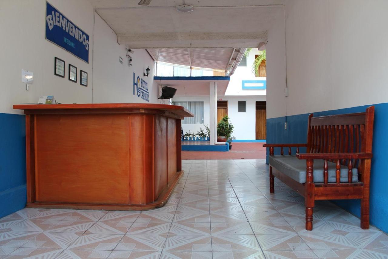 Hotel Carruiz Puerto Escondido  Eksteriør billede